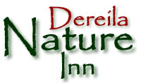 Link to the Dereila Nature Inn - Explore the world of birds, wildflowers, insects and marine life.